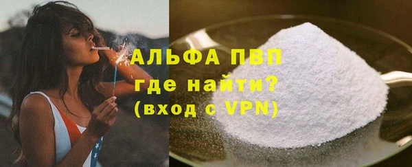 прущий лед Богданович