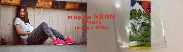прущий лед Богданович