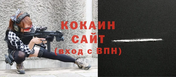 прущий лед Богданович