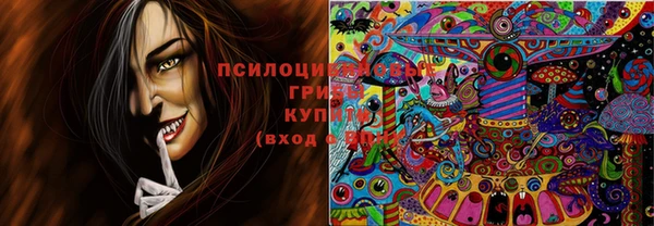 прущий лед Богданович