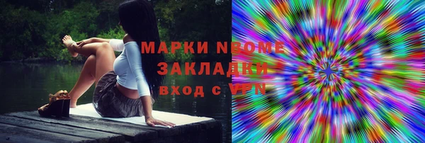 прущий лед Богданович